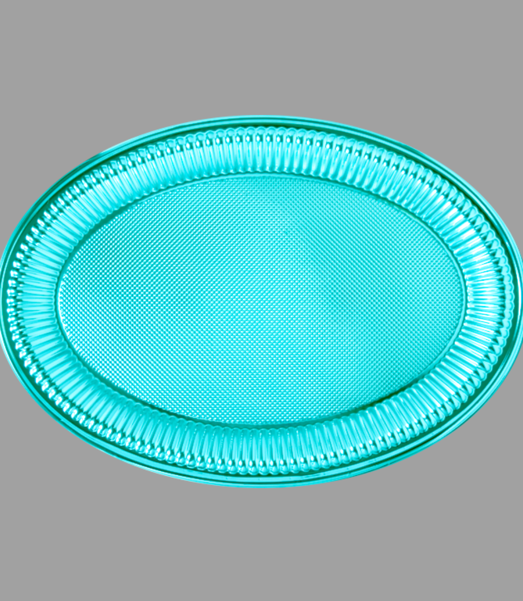 Bandeja Ovalada Reutilizable - Imagen 6